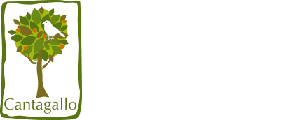 Preescolar Cantagallo