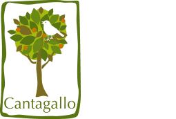 Preescolar Cantagallo